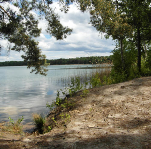 Am see fkk senftenberger Camping am