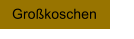 Großkoschen